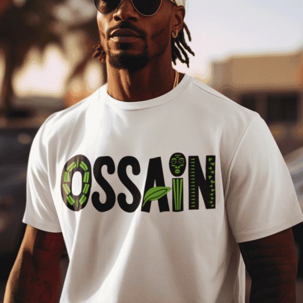Camiseta Ossain básica